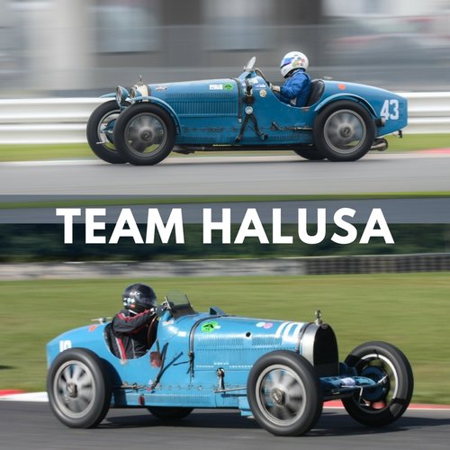 Team Halusa Q&A